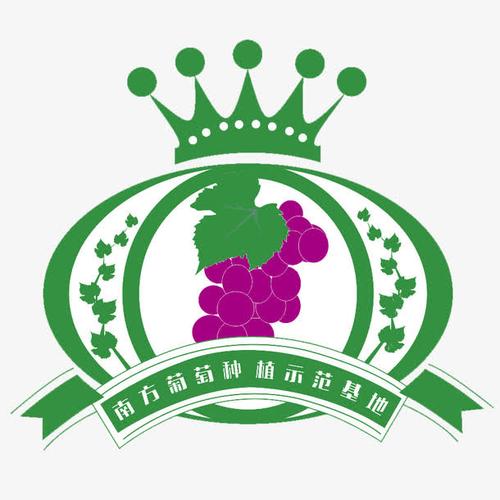 葡萄图案
