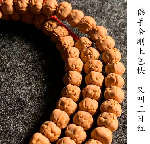 三日红佛手小金刚菩提手串108颗佛珠原籽矮桩五爪男女