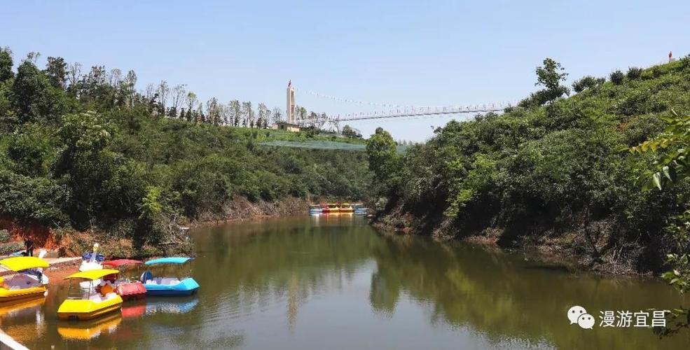 湖北宜昌知音畔岛花开正好万紫千红邀你来赏