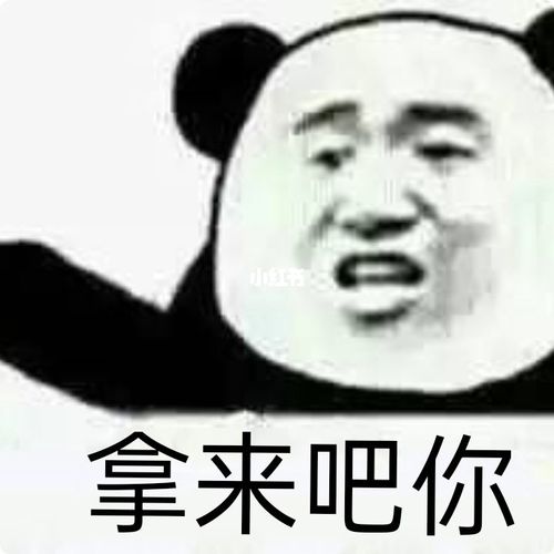 表情包?拿来吧你!_表情包_我最爱的表情包_素材_表情包