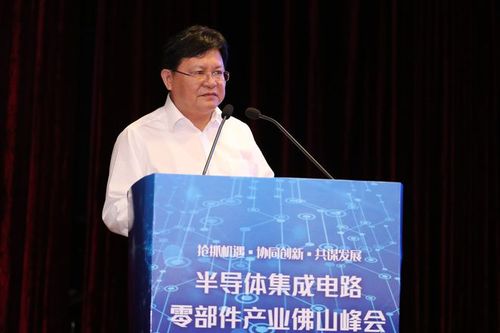 佛山市人民政府副市长许国致辞