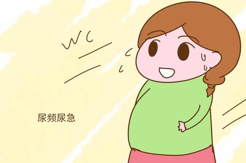 3.孕妇出现尿频怎么办