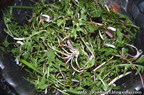 野菜群谱(第四辑)》 写美篇禁忌:脾胃虚寒和寒性体质的人禁止吃鸭嘴菜