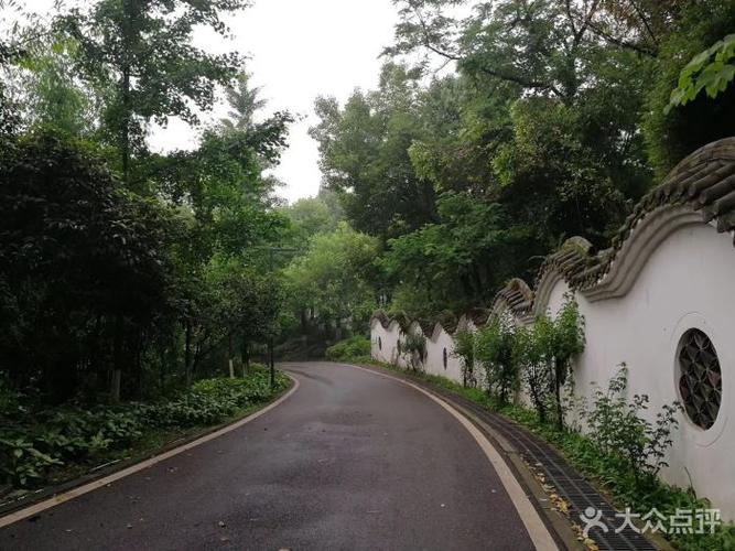 照母山森林公园图片 - 第245张
