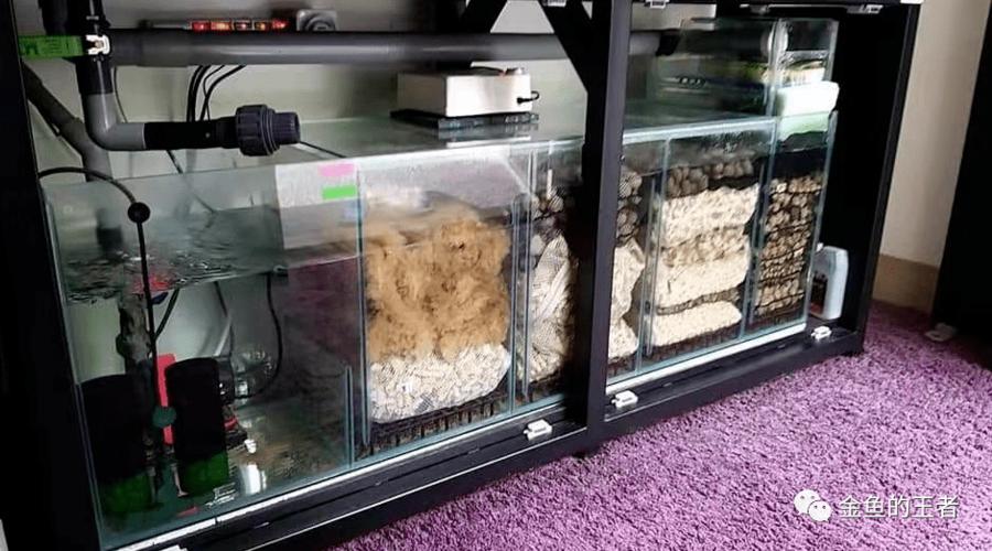 鱼缸过滤这么做,噪音消失了,便便全冲光!