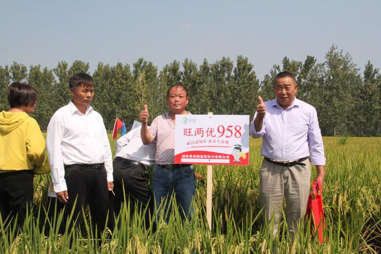 贺 亿丰农资2019秋季水稻观摩会圆满成功