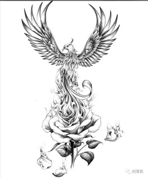 纹身手稿 凤凰纹身 朱雀纹身素材 纹身图案