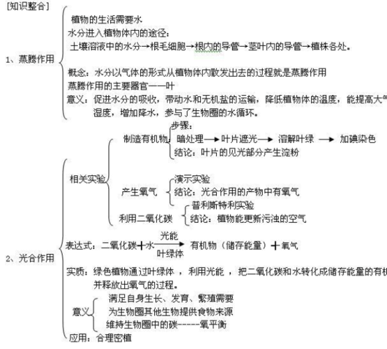 生物呼吸作用和光合作用的手抄报 生物手抄报