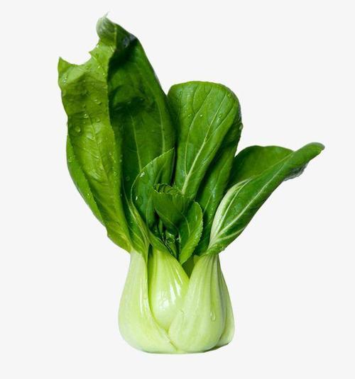 这种青菜被冠名为"上海青",走向世界也不"忘本",还