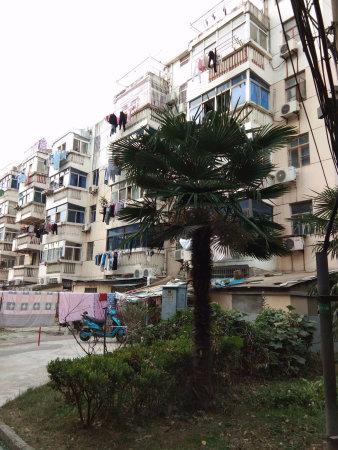 房东诚心出售 白云新村二房朝南,南北通透采光好,满五税少