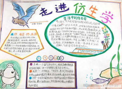 动物仿生学手抄报