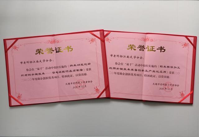 优秀项目荣誉证书