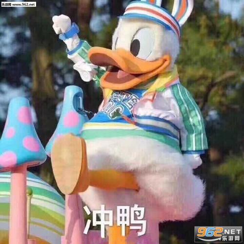 听说你失眠了表情包