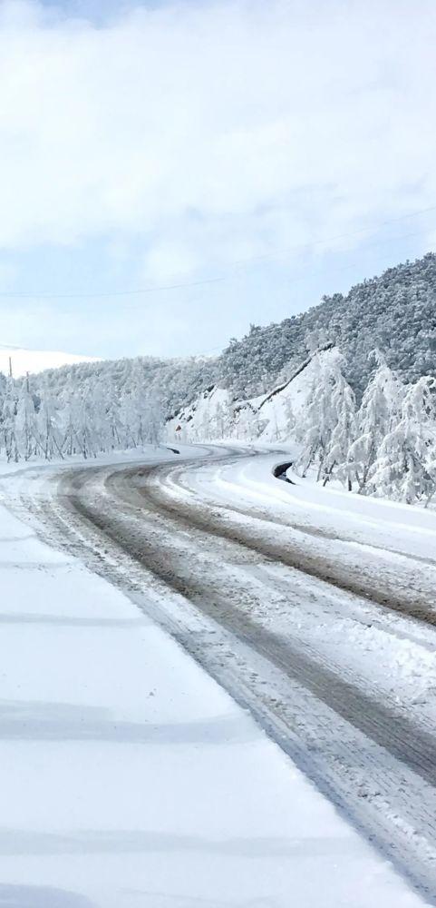 2022新年新气象全新手机壁纸抓紧换起来