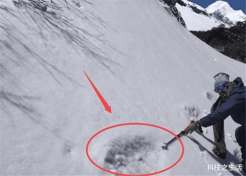 喜马拉雅山发现"雪人",身高2.7米左右,有可能还是人类