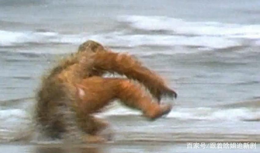 盘点西游记穿帮画面,猴王出世一幕,动作太大,裤子是败笔!