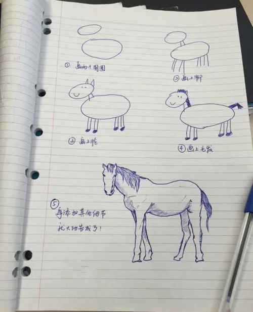 马的最简单画法 教你一步一步画马