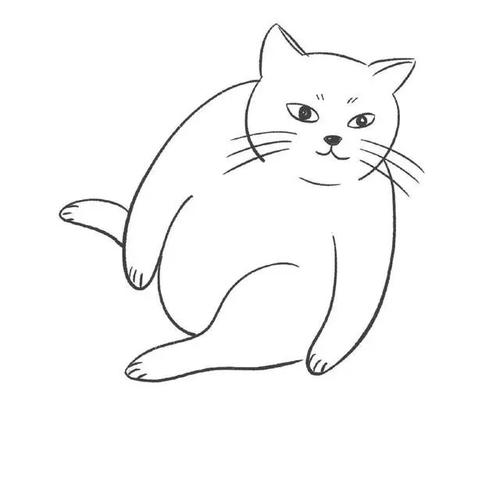动物大家都喜欢画的猫咪简笔画建议收藏