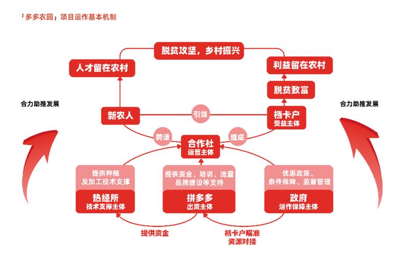 拼多多发布农产品上行发展报告,"三区三州"销售额增长