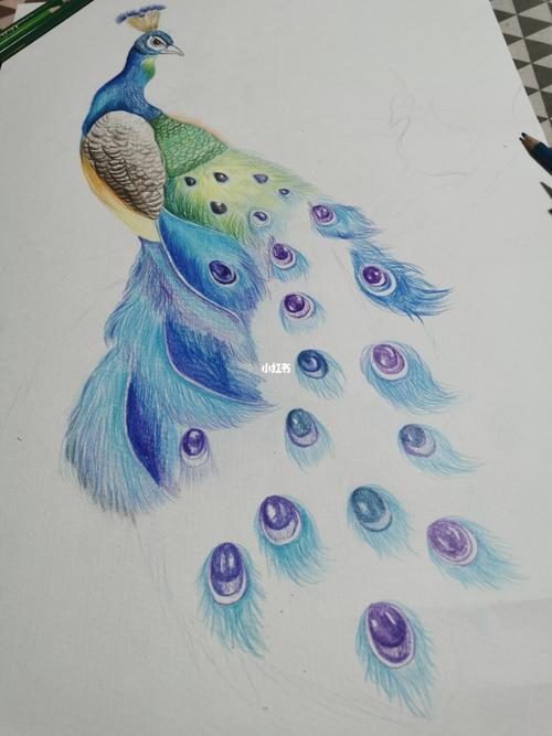 彩铅孔雀_彩铅_文化_绘画
