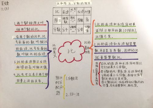 人教版数学六年级上册思维导图