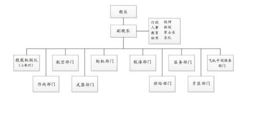 美国海军航母部门结构