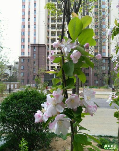 康寿公园景区旅游攻略 之景点1(1/共2页)