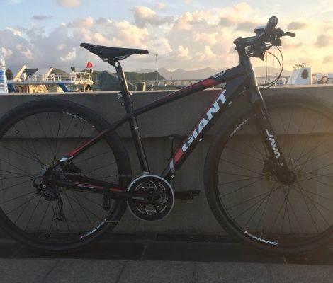 捷安特roam xr2