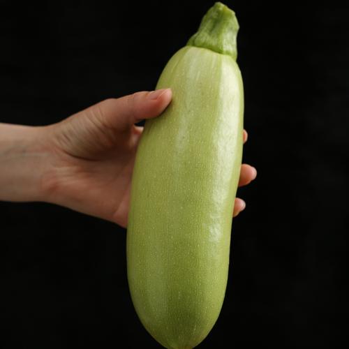 西葫芦青番瓜农家西葫芦新鲜小茭瓜现摘当季时令蔬菜嫩角瓜青番瓜2000