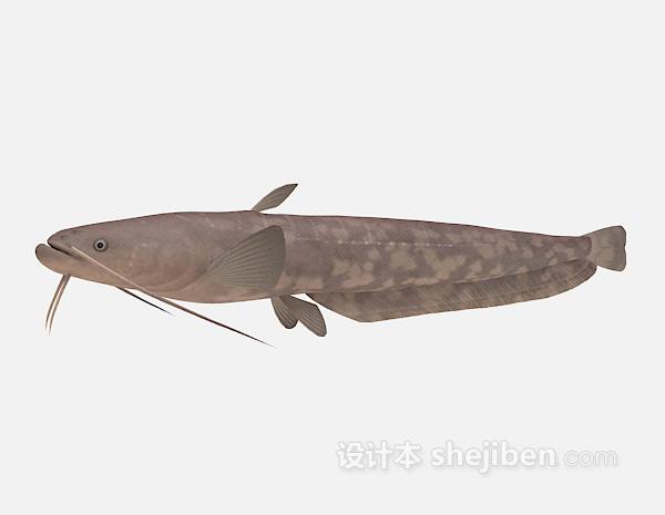 长须鱼3d模型下载