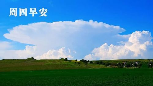 周四你好,没有谁比谁更容易,只有谁比谁更努力,大家早安!