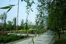 四川师范大学|6|124