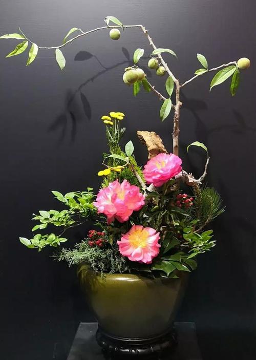 插花盆景展示(三)