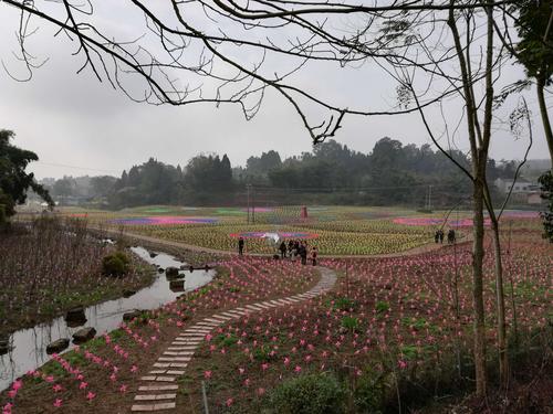 其它 文苑的美篇 写美篇上午9:00点,到2019资阳九曲禾川果乡,心语山谷