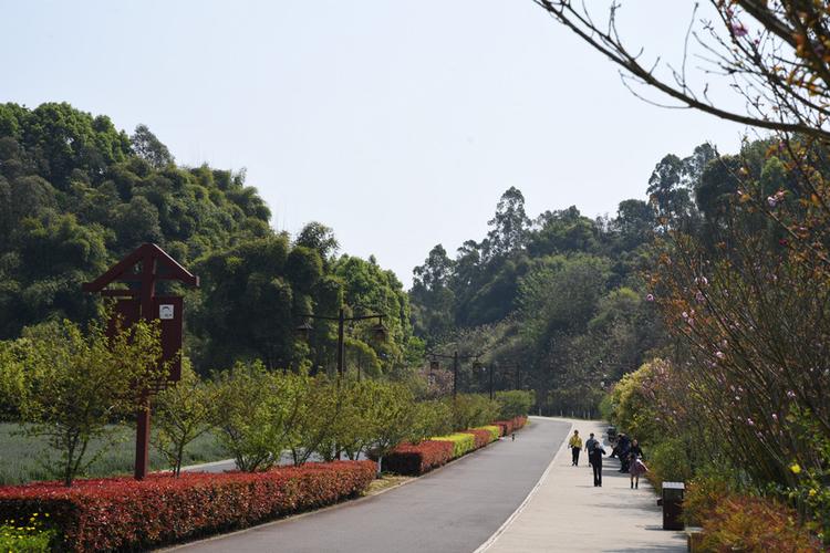 乐山绿心公园 摄影 bianjz58