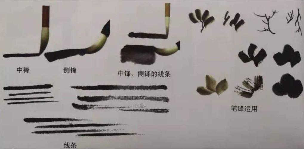 本学期我们学习了一些国画的基本笔法,如:中锋,侧锋,逆锋等