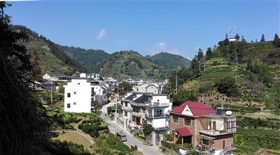 这里的黄村,就是歙县桂林镇黄村,大猎黄村.