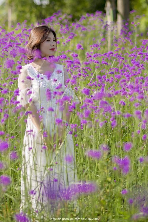 紫之美【和合公园拍美女】