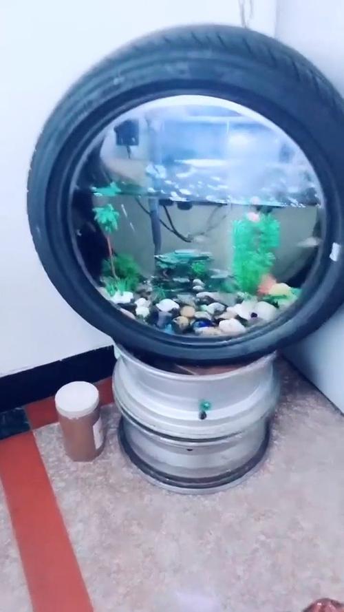 破轮胎改造的鱼缸,真正的高科技,谁能解释一下?