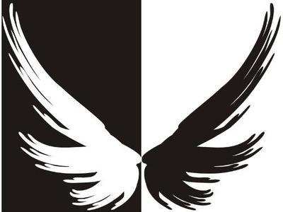 求天使的一半脸已经恶魔化的动漫的 什么人物的都ok