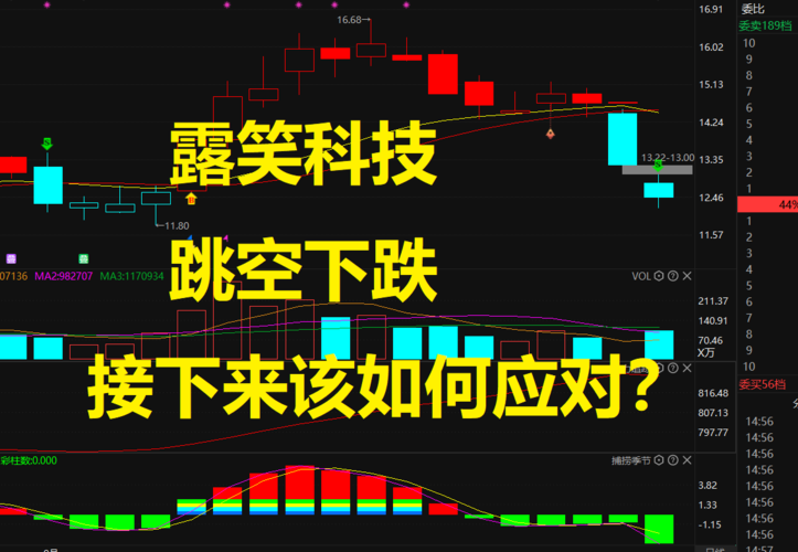 露笑科技,跳空下跌,接下来该如何应对? - 股票区 - 虎扑社区