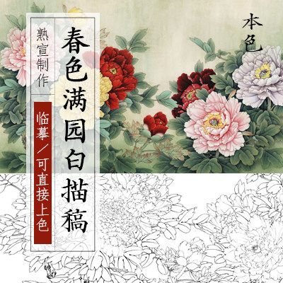 牡丹工笔画白描底稿临摹春色满园练习初学国画水彩花鸟勾线熟宣纸_7折