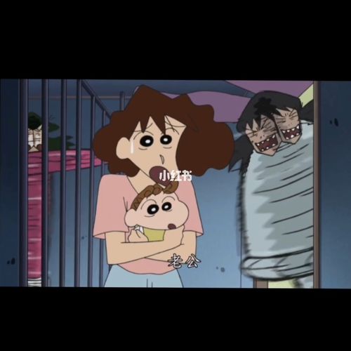 《蜡笔小新》之大回转夫人 (上)_蜡笔小新怎么样_影视