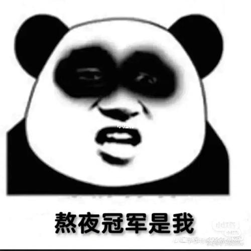 我…我不困,我…我还能熬_熬夜_熬夜冠军_素材_表情包