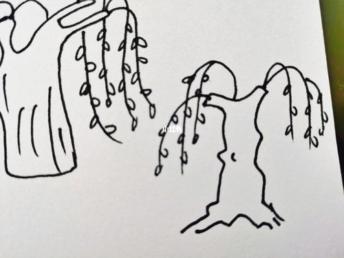 幼师day106---简笔画:柳树_简笔画_幼师_文化_绘画