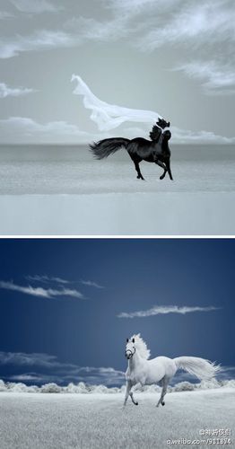 骄,马高六尺为骄."乌骓""白龙"因此得名:绝代双骄.