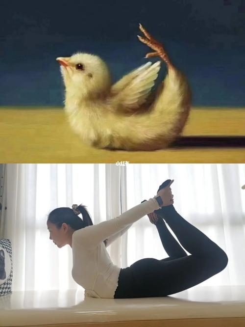周末来组萌小鸡瑜伽图_瑜伽_瑜伽日常_健身减肥_瑜伽