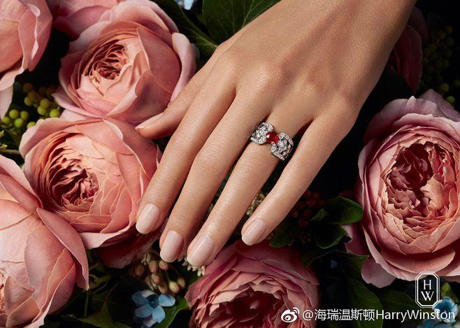 海瑞温斯顿harrywinston的微博_微博