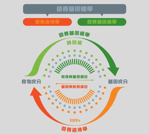 genomics,是研究营养素和 a target="_blank" href="/item/植物化学
