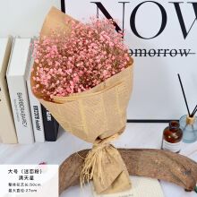 如一花开 网红满天星干花花束天然真花礼品家居装饰永生花客厅干花
